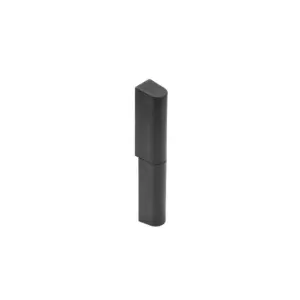 Hinge 3.ZN151
