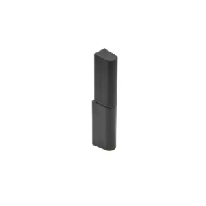 Hinge 3.ZN152